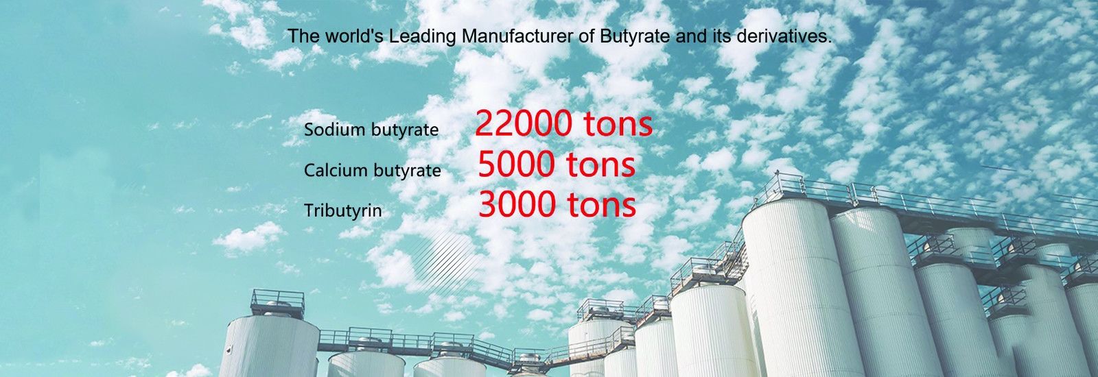 소디움부티레이트 파우더