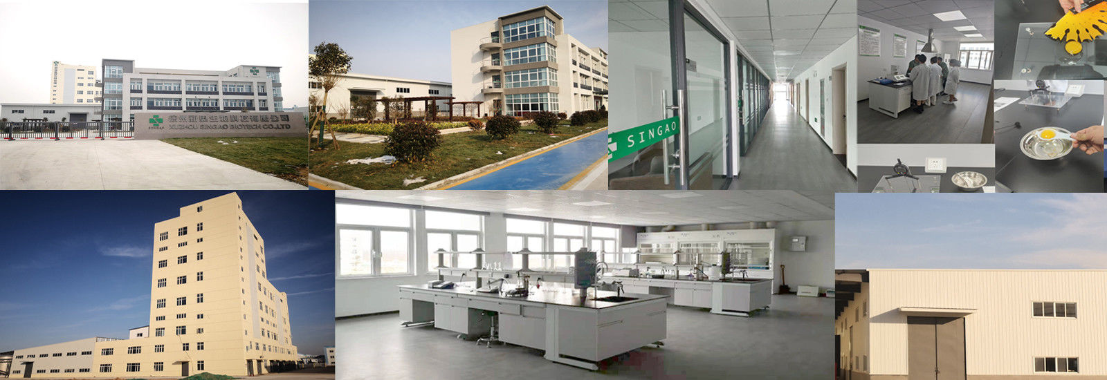 코팅된 부티르산나트륨