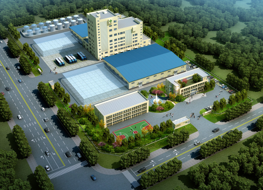 Singao (Xiamen) Agribusiness Development Co., Ltd. 공장 생산 라인