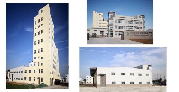 Singao (Xiamen) Agribusiness Development Co., Ltd. 공장 생산 라인
