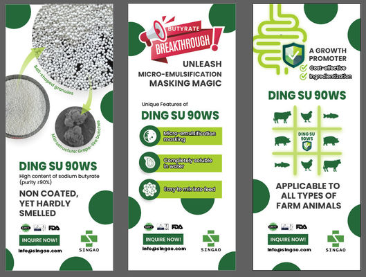 무취 비코팅 부티르산나트륨 90% (수산용)