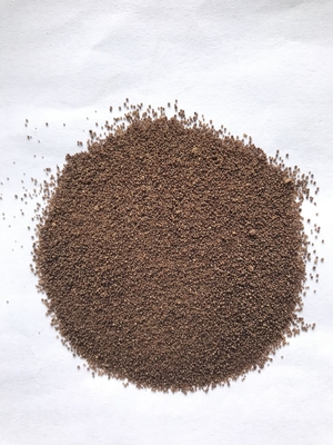 프로바이오틱스 Clostridium butyricum