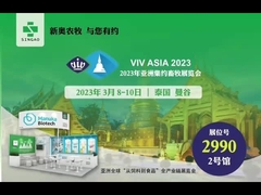 방콕 태국에서 비브 아사이